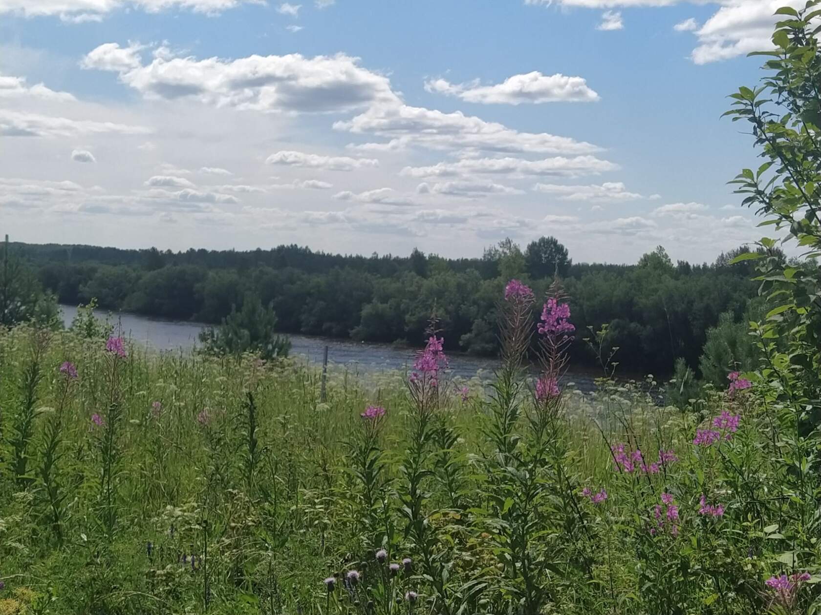 Фотографии Сабуровой Ж.В